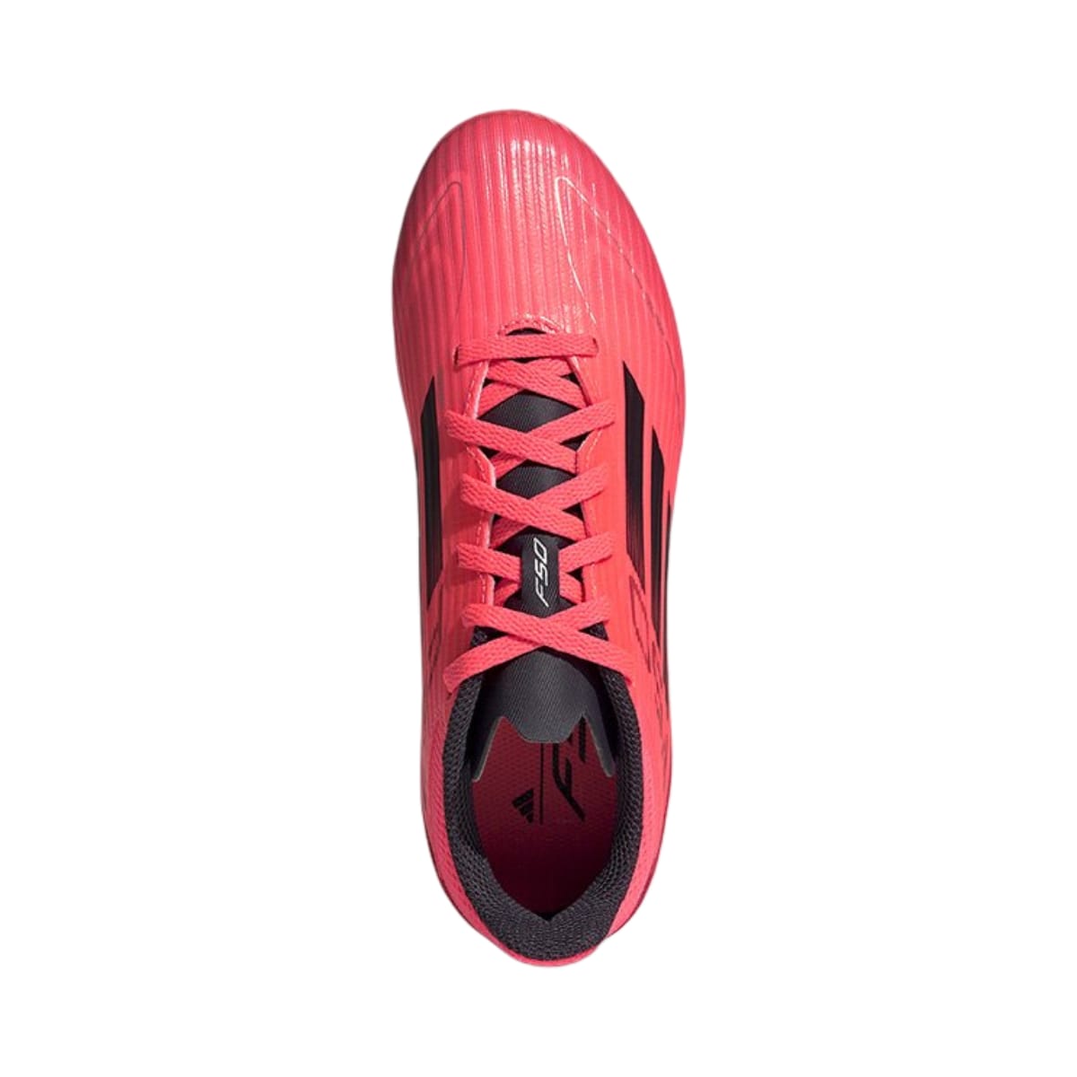 019637-3